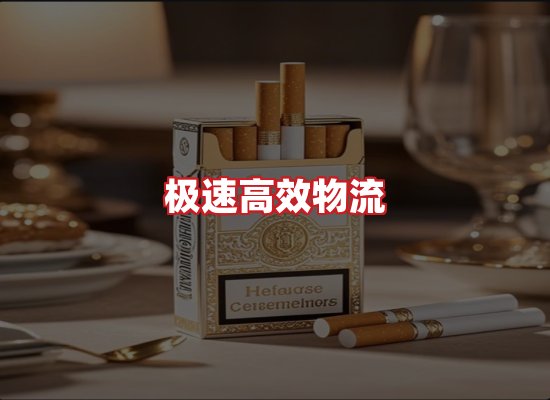 专业团队